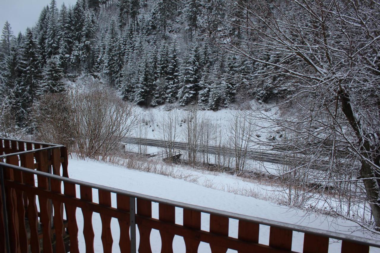 Waldpension Pfeiferhaus Warmensteinach Kültér fotó