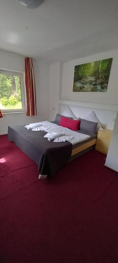 Waldpension Pfeiferhaus Warmensteinach Kültér fotó