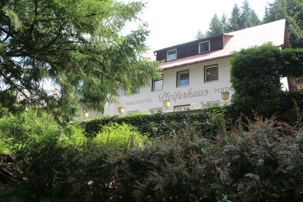 Waldpension Pfeiferhaus Warmensteinach Kültér fotó