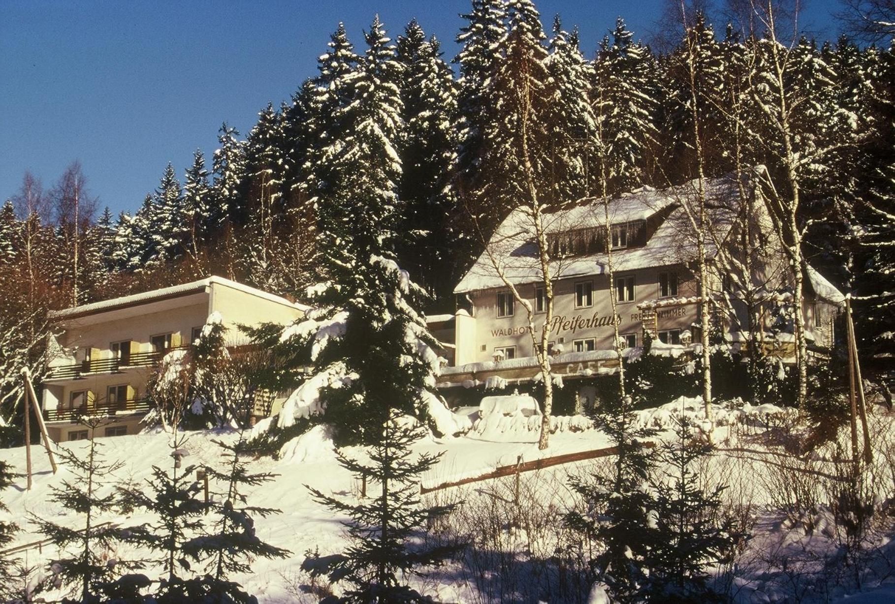 Waldpension Pfeiferhaus Warmensteinach Kültér fotó